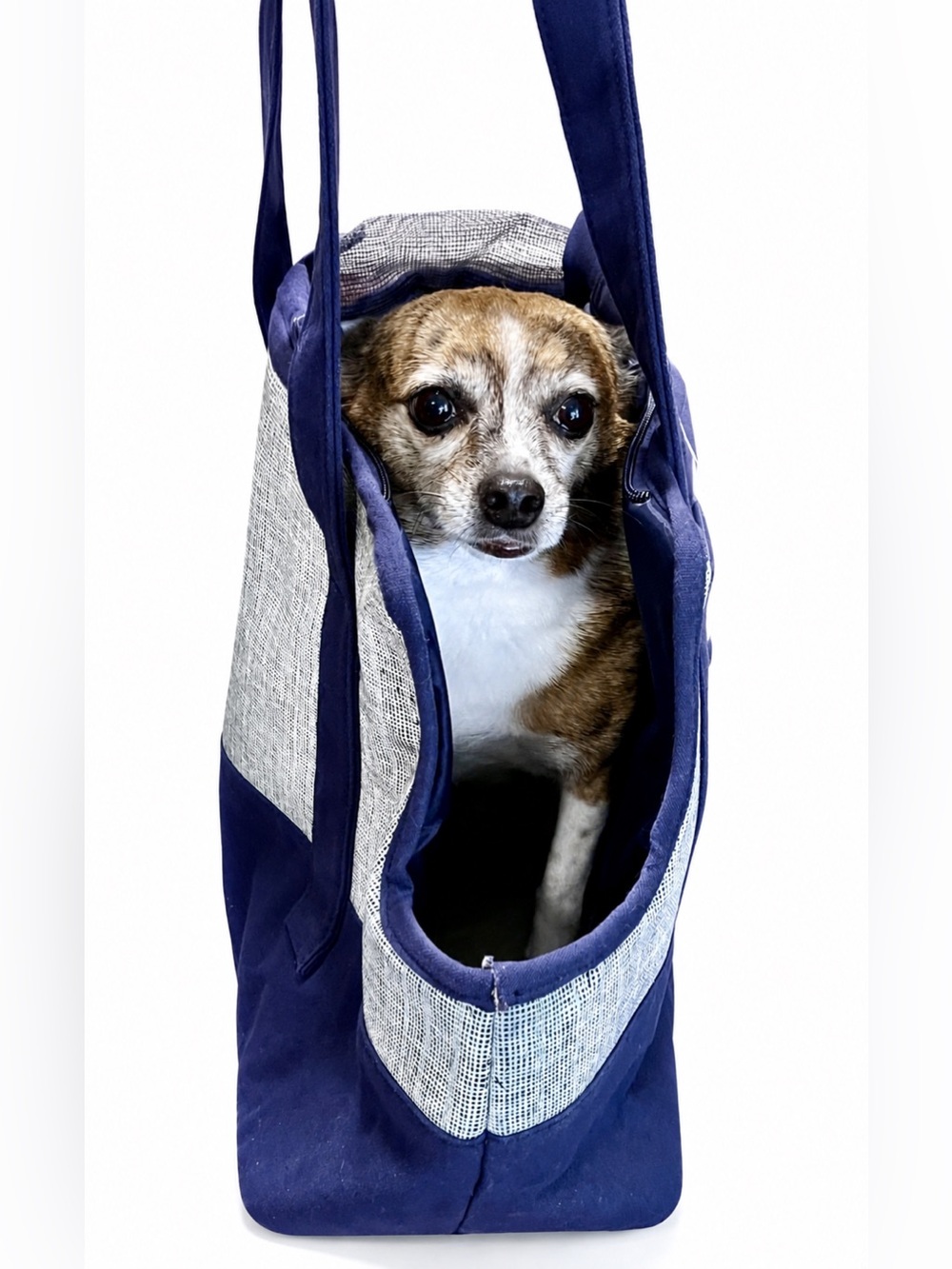 NEW WITHOUT TAGS—DwellStudio Pet Carrier Tote Bag